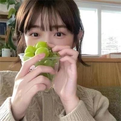 黑狐之风影